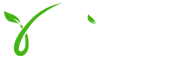 cyafitness.com